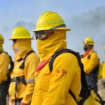 Veracruz preparado para la Temporada de Incendios Forestales 2022