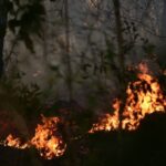 Incendios forestales provocarán desabasto de agua