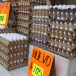 En aumento precio del huevo y pollo en Veracruz